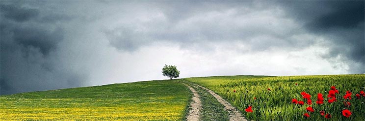 Chemin solitaire